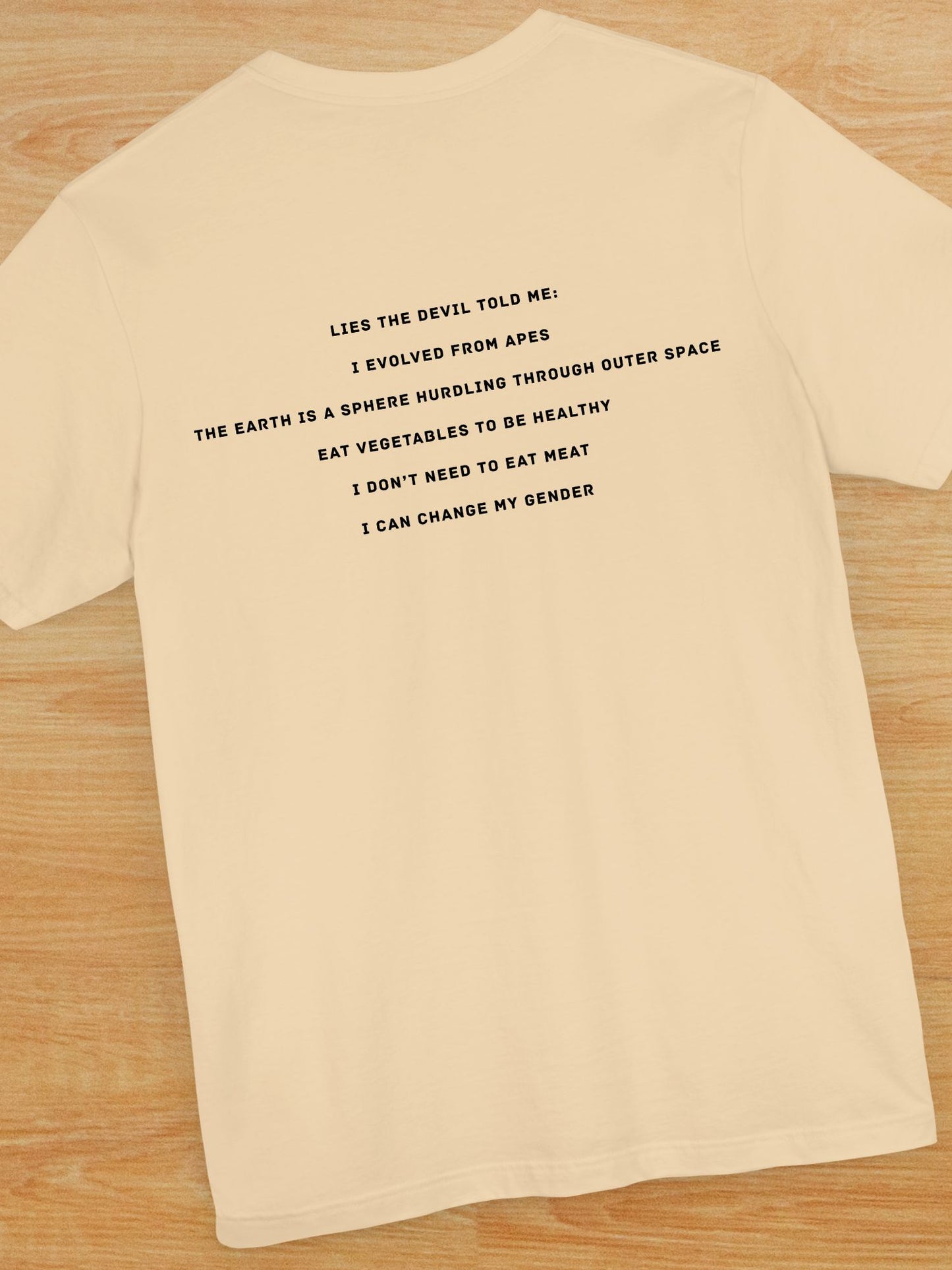 'Lies The Devil Told Me...' Unisex T-Shirt, Christian Apparel